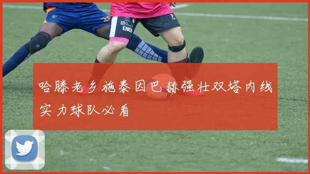 哈滕老乡施泰因巴赫强壮双塔内线实力球队必看